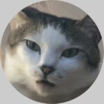 兄猫