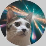 兄猫