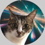 妹猫