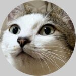兄猫